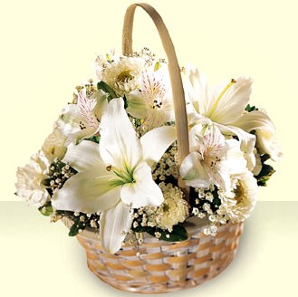 White Basket - A radiant basket in white. White fragrant lilies, white lilies, carnations with baby's breath in a handle basket.

Appx. 25cmH x 30cmW<br><br>Code:156-7973-156-0000096037